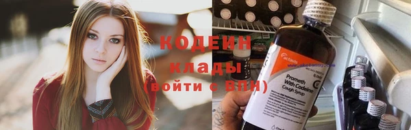ГАЛЛЮЦИНОГЕННЫЕ ГРИБЫ Весьегонск