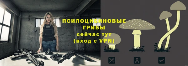 скорость Осинники