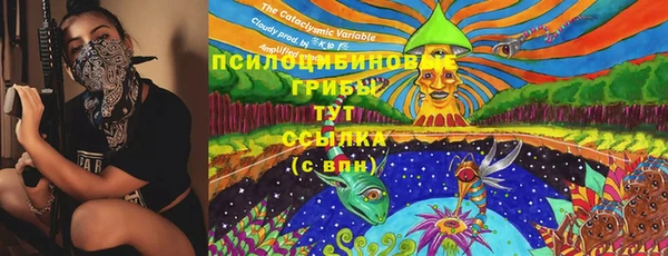 мдпв Переславль-Залесский