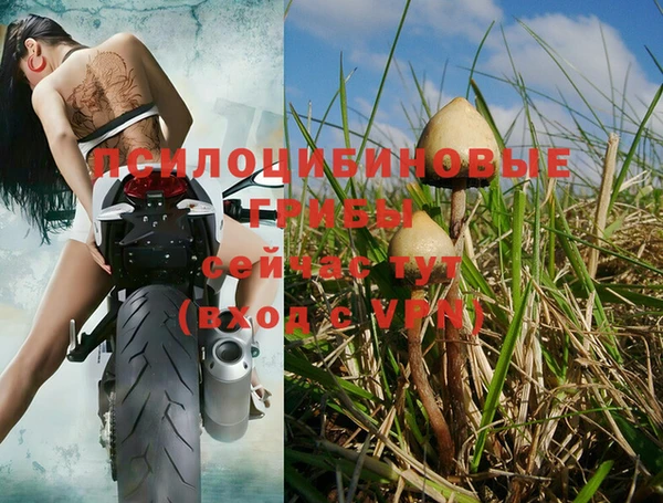 кокс Ветлуга