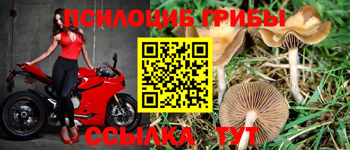 Галлюциногенные грибы ЛСД  Алушта  Псилоцибиновые грибы Psilocybe 