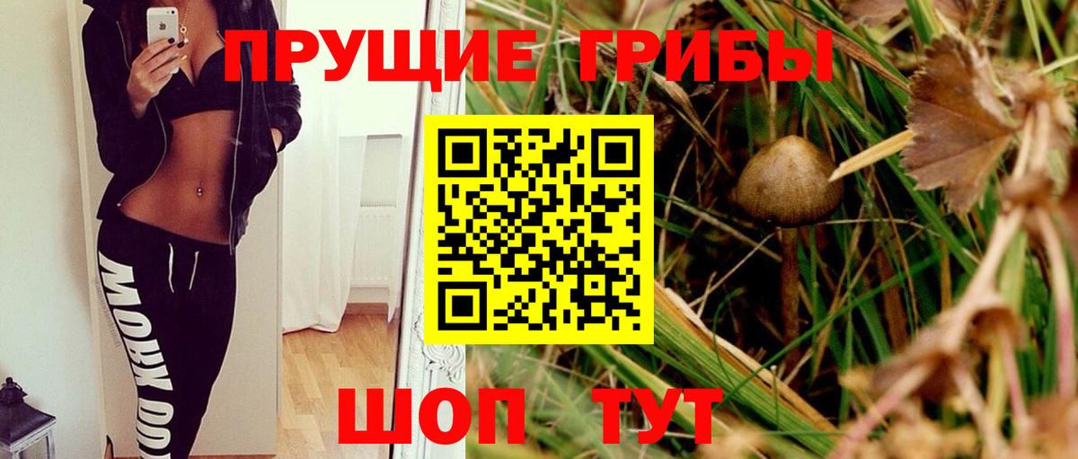 Алушта  где купить наркотик  Вход с VPN  Псилоцибиновые грибы мицелий 